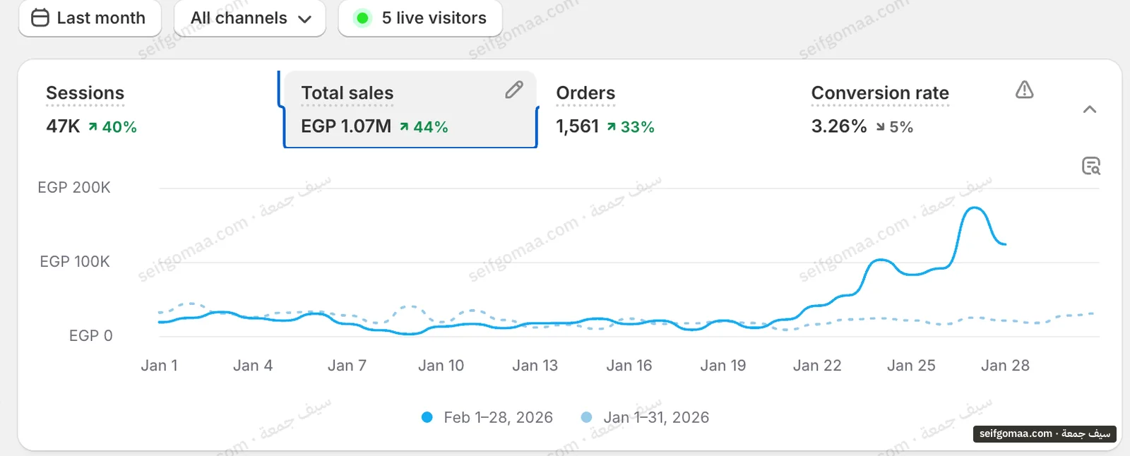 Shopify Analytics screenshot, February 2026, showing sales, orders, period change on an account run by Seif Gomaa. Brand names cropped.