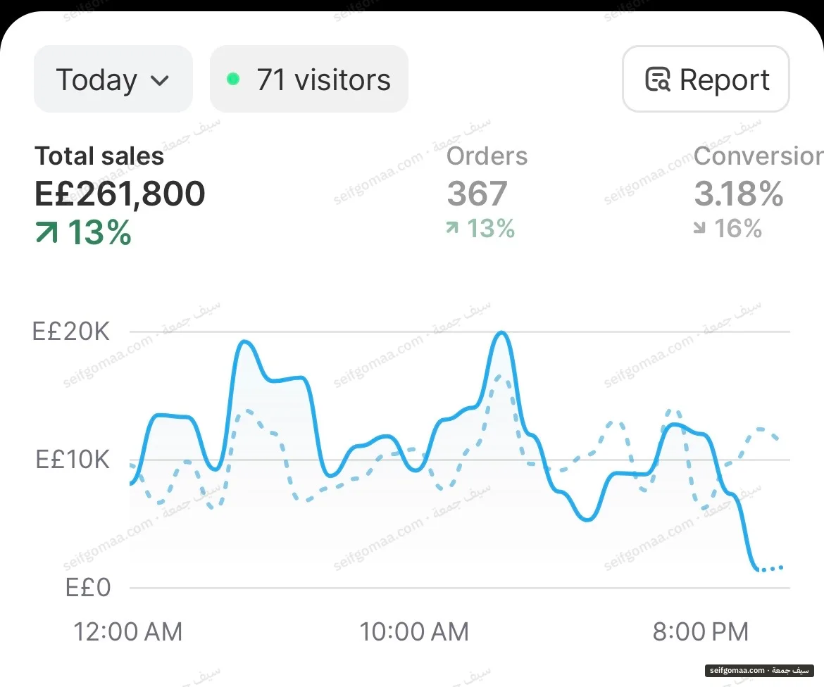 Shopify Analytics screenshot, One day, as shown, showing sales, orders on an account run by Seif Gomaa. Brand names cropped.